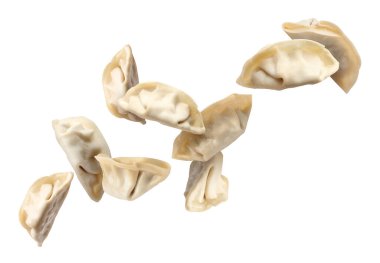 Beyaz arka planda pişmemiş gyoza havası