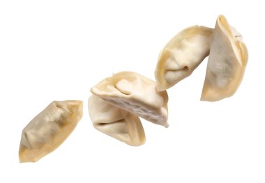 Beyaz arka planda pişmemiş gyoza havası