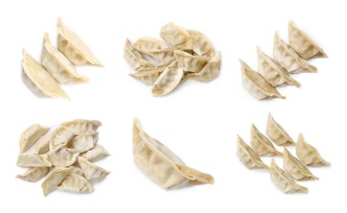 Beyaz arkaplanda pişirilmemiş gyoza seti