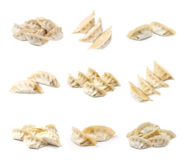 Beyaz arkaplanda pişirilmemiş gyoza seti