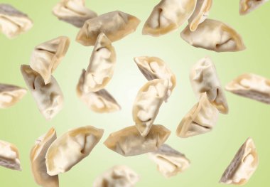 Açık yeşil arka planda pişirilmemiş gyoza