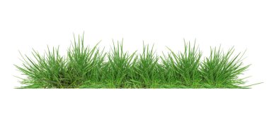 Yeşiller yemyeşil çimenler beyaz, afiş tasarımı