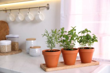 Mutfaktaki beyaz mermer tezgahta farklı aromatik otlar var.