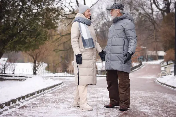 Kış parkında el ele tutuşan mutlu yaşlı çift. Metin için boşluk