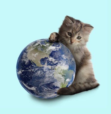 Uluslararası kedi günü. Şirin kedi yavrusu ve açık mavi arka planda toprak küre.
