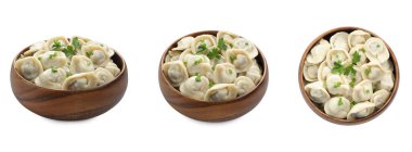 Beyaz arka planda kaynamış hamur tatlısı (pelmeni), kolaj. Üst ve yan görünüm