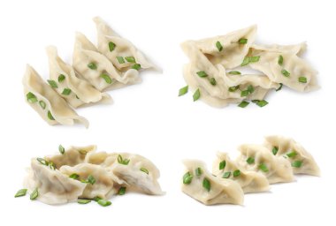Beyaz arka planda yeşil soğanlı haşlanmış gyoza (hamur tatlısı), kolaj