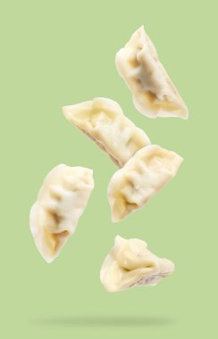 Açık yeşil zemine düşen lezzetli haşlanmış gyoza (hamur tatlısı)