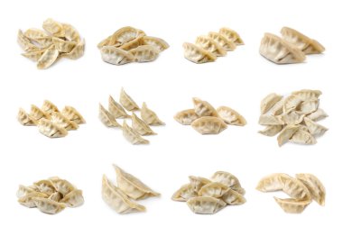 Beyaz arkaplanda pişirilmemiş gyoza seti