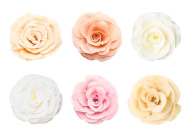 Beyaz arka planda güzel kağıt çiçekler, set. Üst görünüm