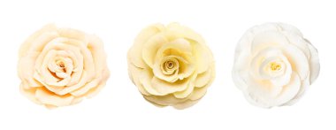 Beyaz arka planda güzel kağıt çiçekler, set. Üst görünüm