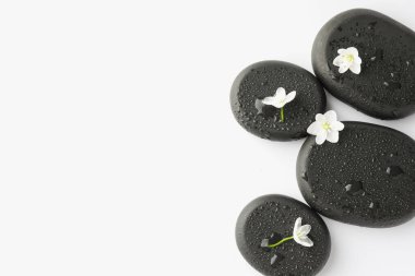Islak spa taşları ve beyaz arka planda güzel çiçekler. Metin için boşluk