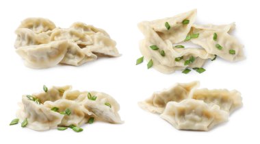 Beyaz arka planda kaynamış gyoza (hamur tatlısı), kolaj