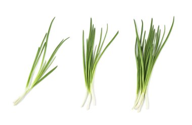 Beyaz arka planda taze taze soğan, hazır. Üst görünüm