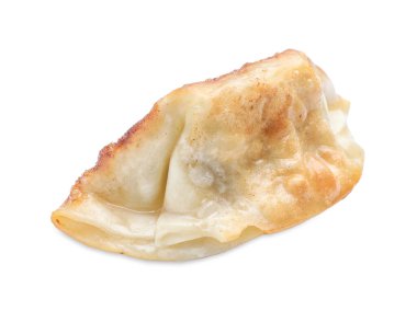 Bir kızarmış gyoza hamur tatlısı, beyaz üzerine izole edilmiş.