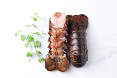 Beyaz mermer masa üzerinde çiğ ıstakoz kuyruğu ve mikro yeşiller, düz uzanmış.