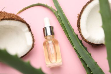 Saç tedavisi. Kozmetik ürün, hindistan cevizi ve aloe yaprakları pembe arka planda, düz konum
