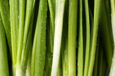 Arka planda su damlaları olan taze yeşil soğanlar, üst görünüm