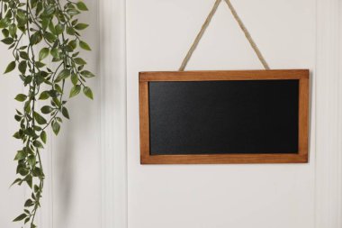 Boş küçük karatahta ve beyaz duvarda yeşil ev bitkisi