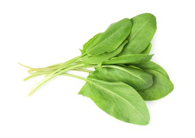Taze yeşil kuş yaprakları beyaz, üst görünümde izole