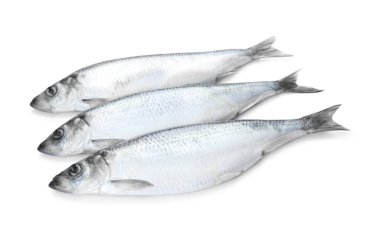 Beyaz arka planda üç tam tuzlu ringa balığı.