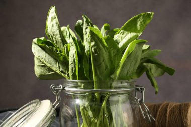 Gri arkaplanda cam kavanozda taze kuş, yakın plan.