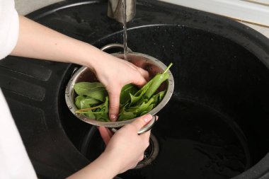 Kadın musluk suyunun altında taze kuş yapraklarını yıkıyor. Lavabonun üstünde, yakın plan.