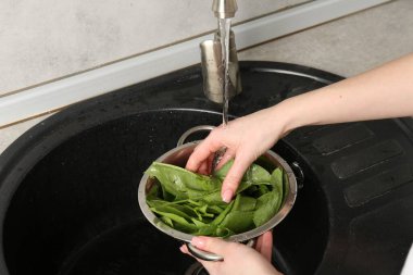 Kadın musluk suyunun altında taze kuş yapraklarını yıkıyor. Lavabonun üstünde, yakın plan.