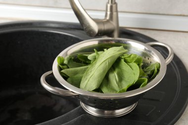 Lavaboda taze kevgir yaprakları, yakın plan.