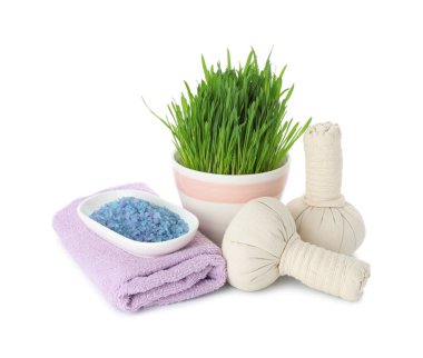 Spa composition with wheatgrass and herbal bags isolated on white