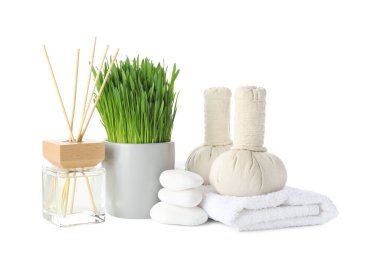 Spa composition with wheatgrass and herbal bags isolated on white