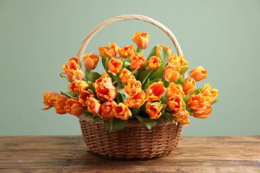 Hasır sepetin içindeki güzel laleler açık yeşil arka plana karşı ahşap masada.