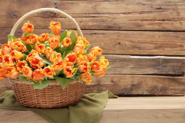 Tahta masada hasır sepetteki güzel laleler. Metin için boşluk