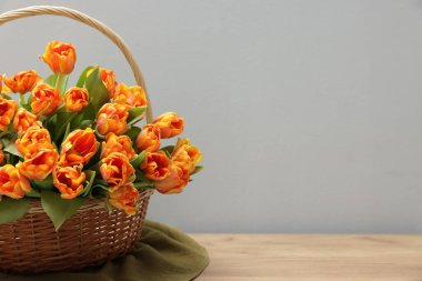 Hasır sepetin içindeki güzel laleler ahşap masada, gri arka planda, yakın plan. Metin için boşluk