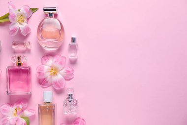 Parfüm şişeleri ve pembe arka planda güzel çiçekler. Metin için boşluk