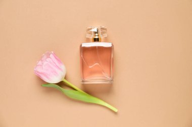 Bir şişe aromatik parfüm ve bej arka planda güzel bir lale.