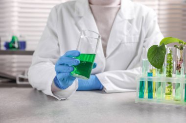 Biyokimya. Laboratuvarda, gri masada bitki ve sıvılarla çalışan bilim adamı.