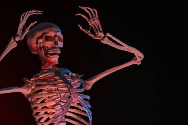 Yapay insan iskeleti modeli. Karanlık arka planda neon ışıklarda.