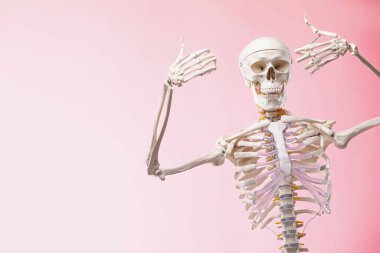 Pembe arkaplan üzerinde yapay insan iskelet modeli, metin için boşluk