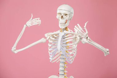 Pembe arka planda yapay insan iskeleti modeli