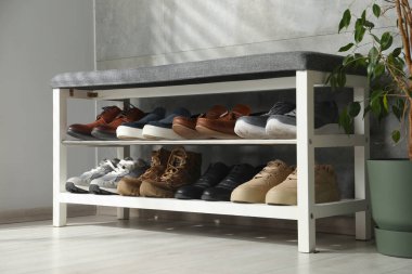 Ayakkabı bankı, farklı ayakkabılar ve ev bitkisi.