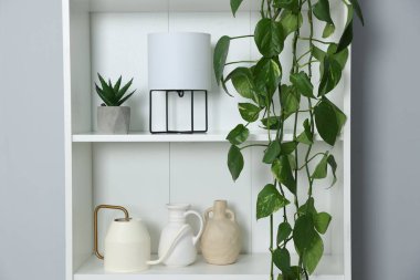 Ev bitkileri ve gri duvarın yanındaki diğer dekorları rafa kaldırıyorum.