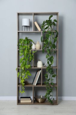 Ev bitkileri ve gri duvarın yanındaki diğer dekorları rafa kaldırıyorum.