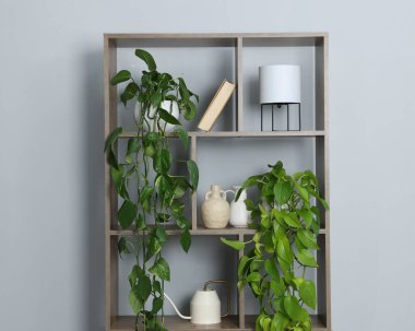 Ev bitkileri ve gri duvarın yanındaki diğer dekorları rafa kaldırıyorum.