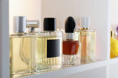 Dükkandaki raflarda farklı lüks parfüm şişeleri var.