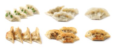 Beyaz arka planda lezzetli gyoza (hamur tatlısı), kolaj