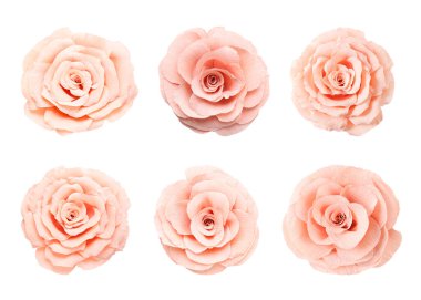 Beyaz arka planda güzel kağıt çiçekler, set. Üst görünüm