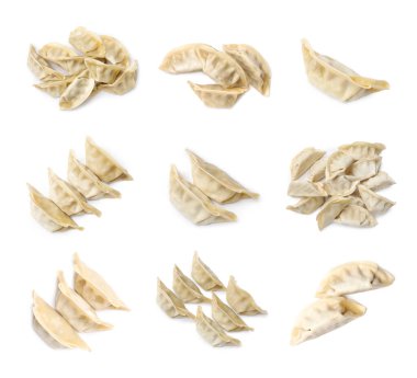 Beyaz arkaplanda pişirilmemiş gyoza seti