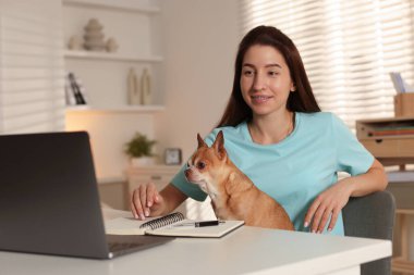 Ev ofisinin masasında dizüstü bilgisayarda çalışan sevimli köpeğiyle genç bir kadın.