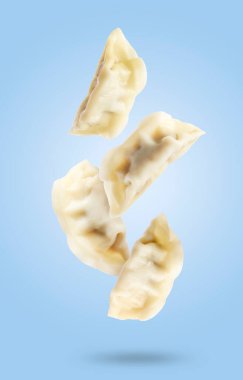 Lezzetli haşlanmış gyoza (hamur tatlısı) açık mavi arkaplana düşüyor